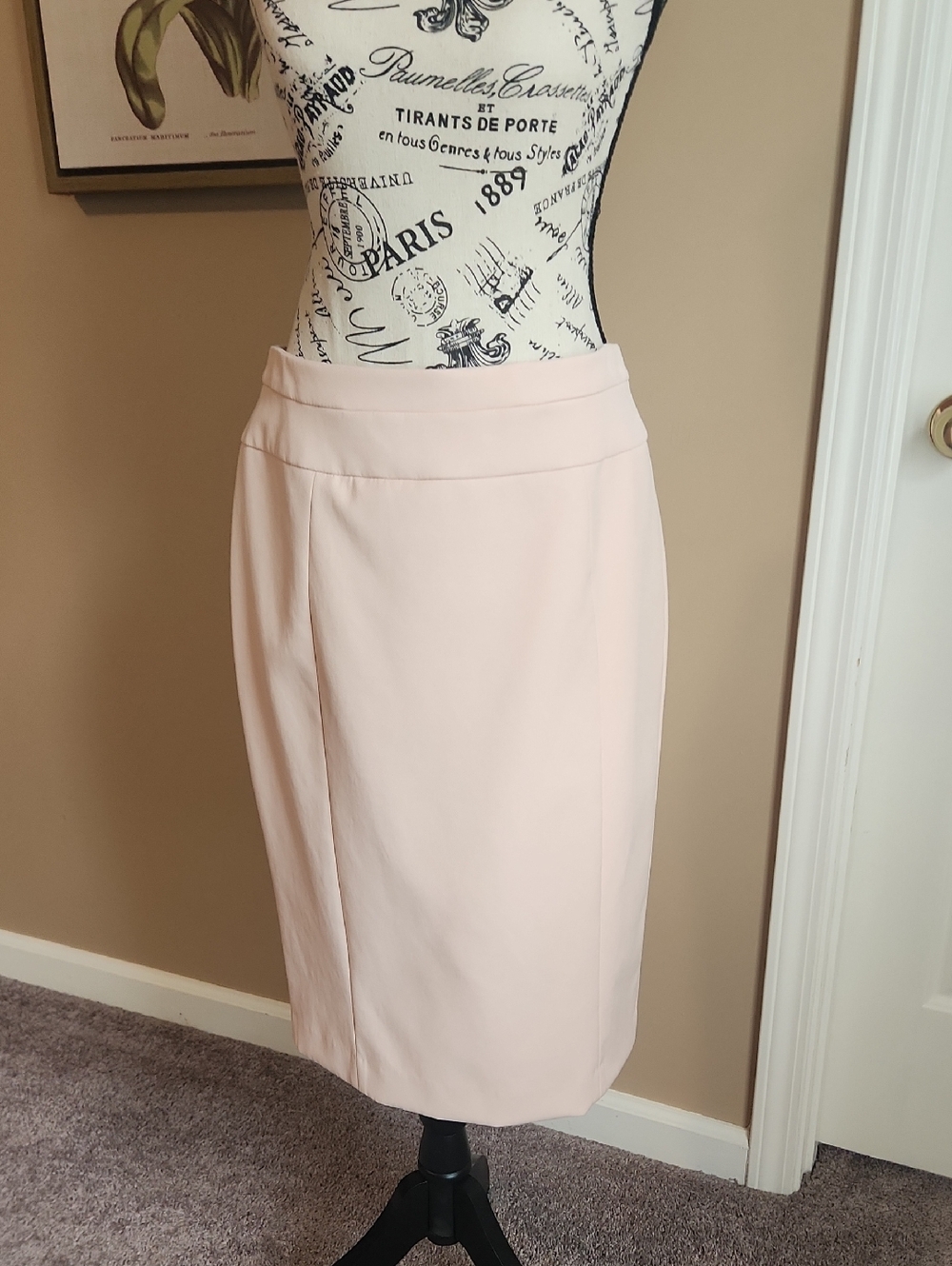 White House Black Market Pale Pink Pencil Skirt